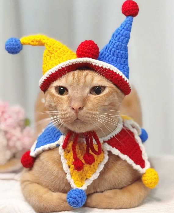 Cat’s Clown Set – Hat and Scarf