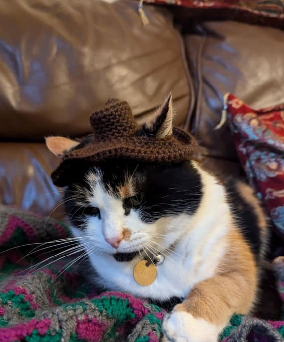 Cowboy Cat Hat
