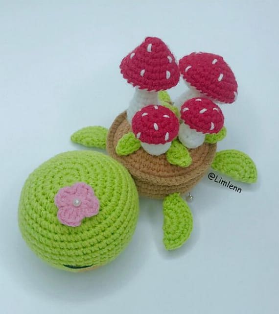 Cute Turtle