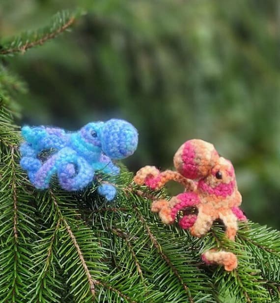 Grumpy Mini Octopus