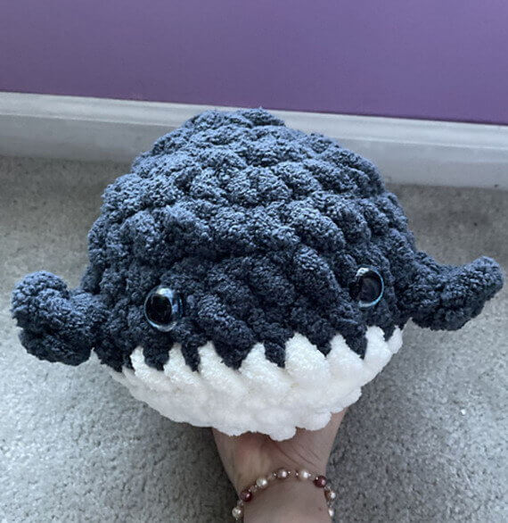 Jumbo Whale