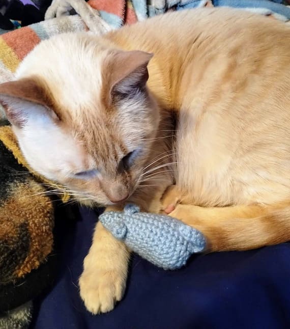 Mouse Cat Toy