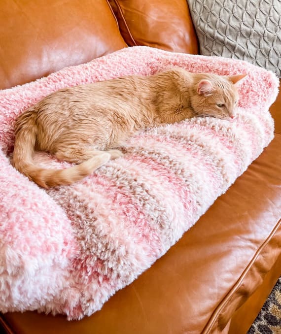 Peanut’s Cat Couch Crochet Pattern