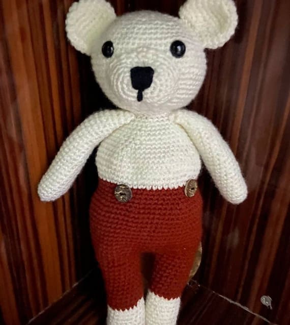 ‘Poncho’ the Bear