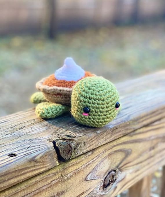 Pumpkin Pie Turtle