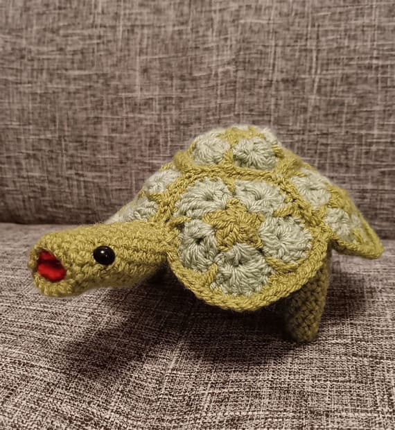Tortellini African Flower Tortoise
